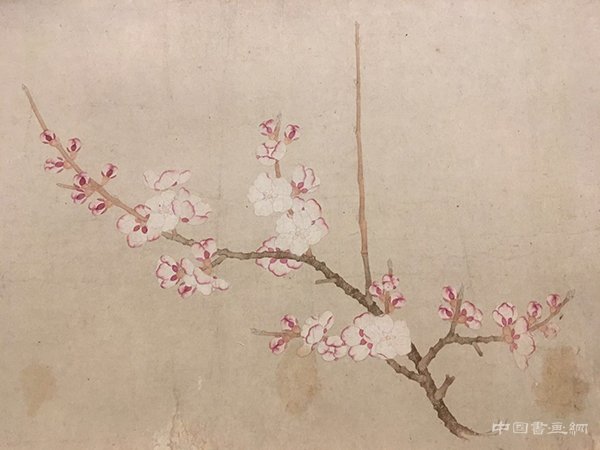 【特展】为万物造像:重识名士钱舜举
