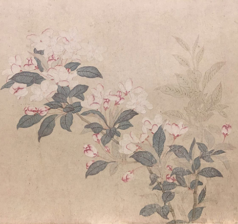 【特展】为万物造像：重识名士钱舜举