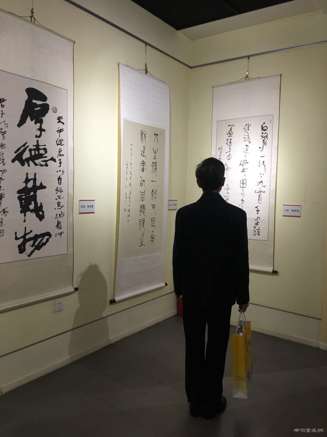 “盛世中国·翰墨情怀”庆祝十九大书法展在国子监开幕