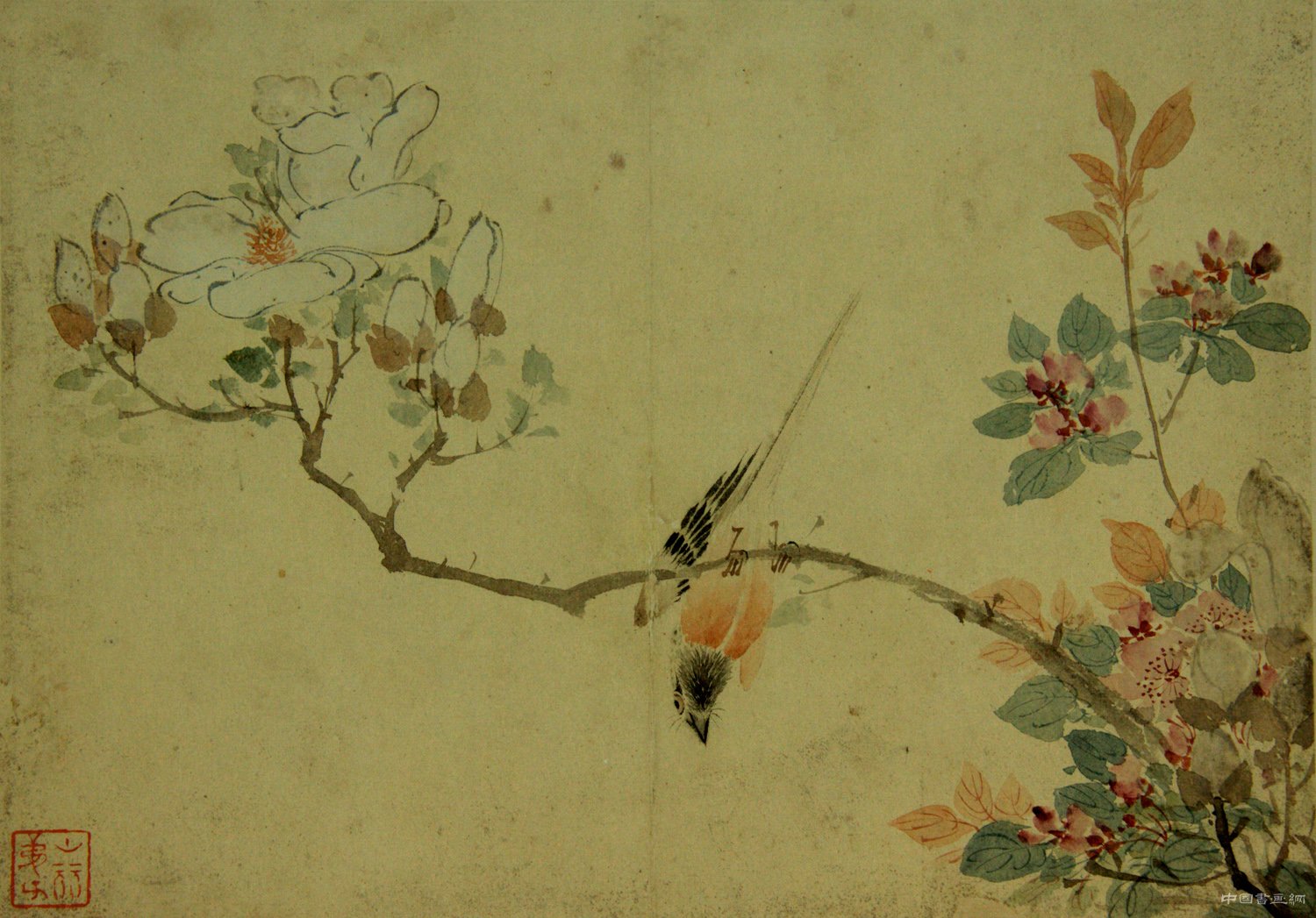 明清女画家展：笔墨抒情为哪般