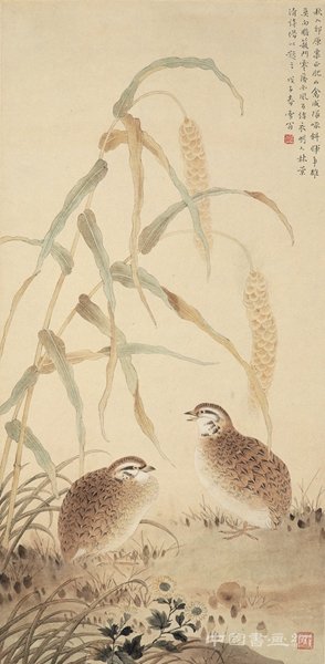 鹌鹑图 设色纸本  轴 66×32厘米 1948年