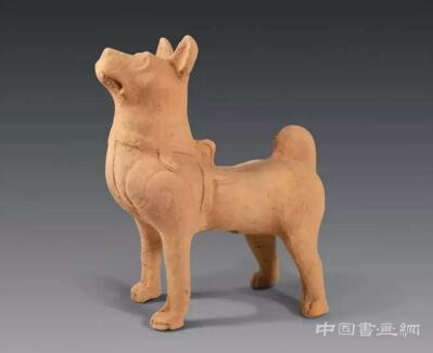 戊戌年 汪星人在哪些大展中唱主角？