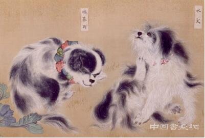 戊戌年 汪星人在哪些大展中唱主角？