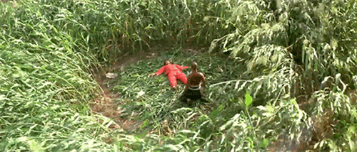 再忆《红高粱》