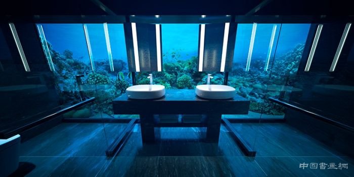 与海洋生物“共眠”