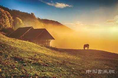 影像世界中的“美美与共”