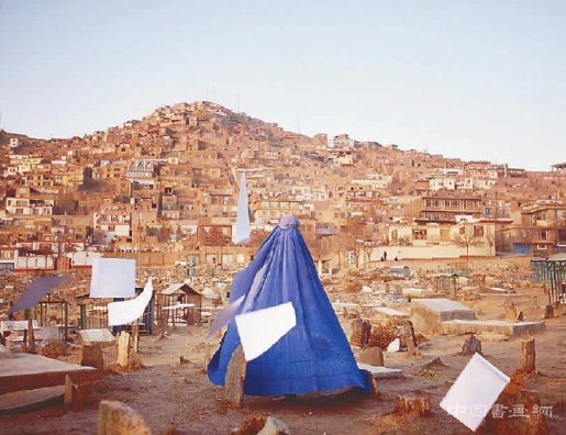 影像世界中的“美美与共”