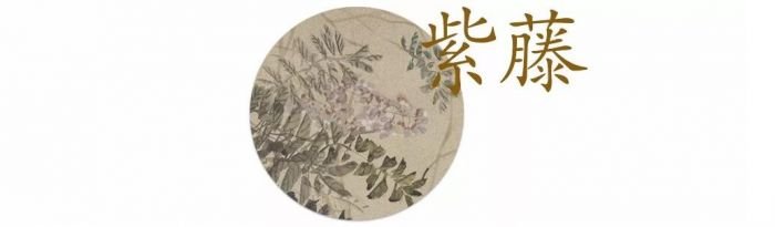 吴昌硕笔下的“花世界”