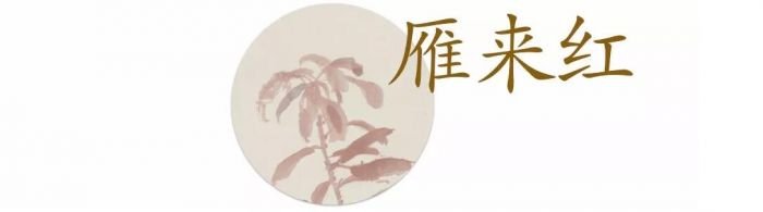 吴昌硕笔下的“花世界”