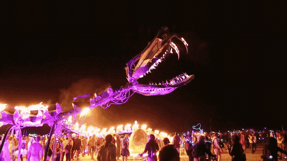 8天 从诞生到毁灭