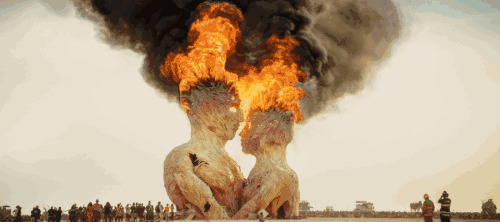 8天 从诞生到毁灭