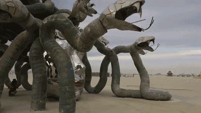 8天 从诞生到毁灭