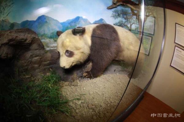 盛夏之日 看艺术与科学的融合