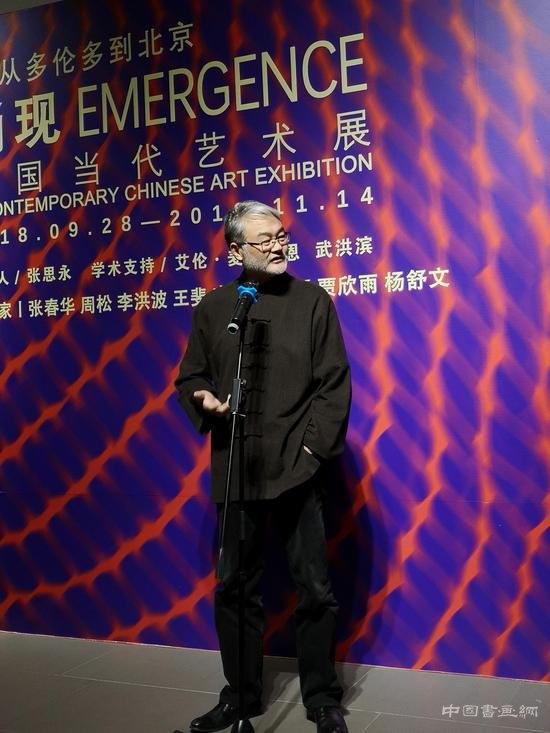 从多伦多到北京—涌现·中国当代艺术展在北京开幕