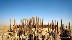 小河墓地文物在阿克苏地区博物馆开展