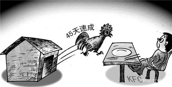 乌鸡白凤丸秋拍创纪录,老药近年来为何备受藏家追捧?