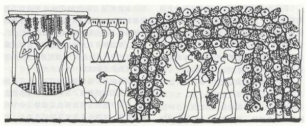 从文物绘画窥探古埃及“餐桌阶层”