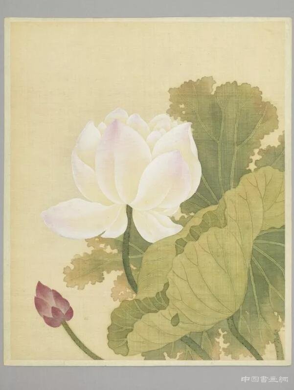 中国艺术中的莲花形象