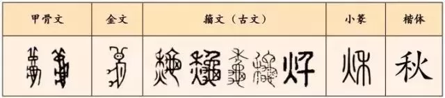 立秋:人间一叶动秋声 天上双星如期会