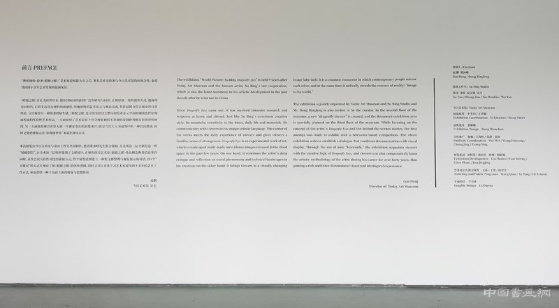徐冰:用“蜻蜓之眼”展开“世界图像”