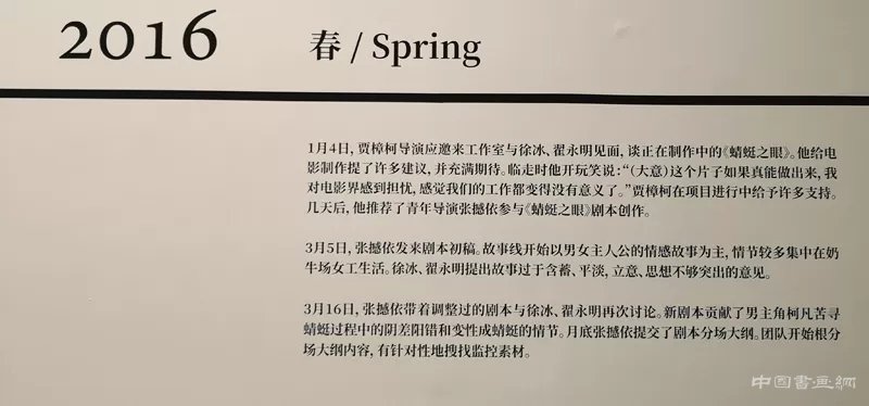 徐冰：用“蜻蜓之眼”展开“世界图像”