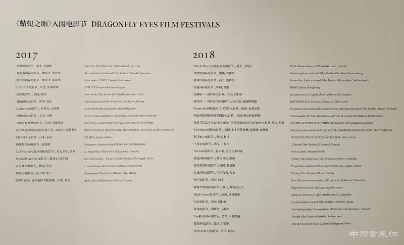 徐冰:用“蜻蜓之眼”展开“世界图像”
