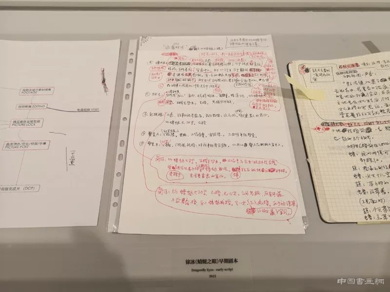 徐冰:用“蜻蜓之眼”展开“世界图像”