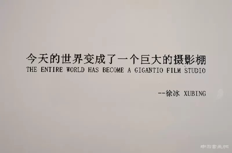 徐冰:用“蜻蜓之眼”展开“世界图像”