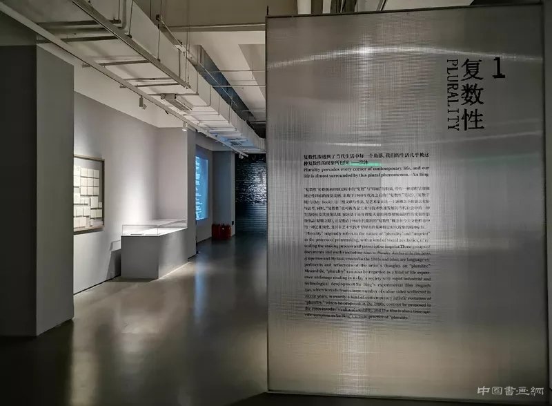 徐冰：用“蜻蜓之眼”展开“世界图像”