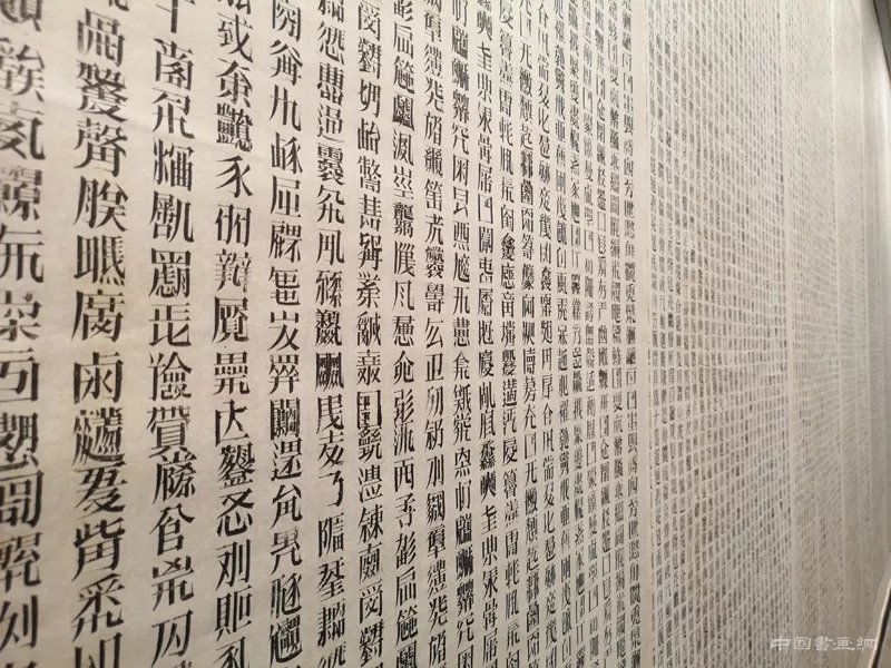 徐冰：用“蜻蜓之眼”展开“世界图像”