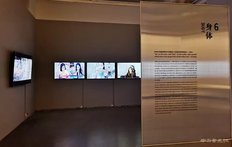 徐冰：用“蜻蜓之眼”展开“世界图像”