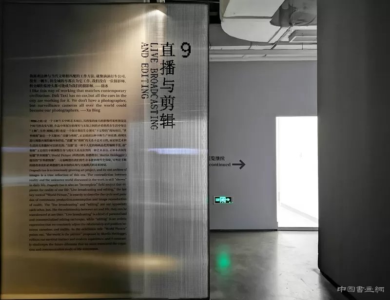 徐冰:用“蜻蜓之眼”展开“世界图像”