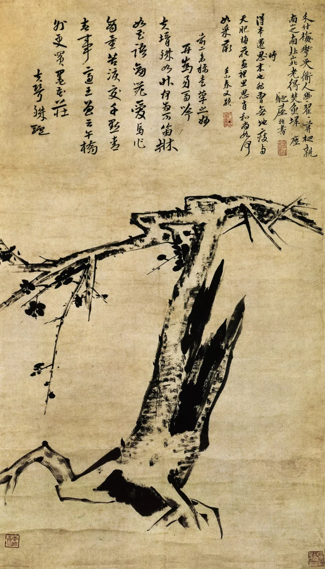 愈简愈元:八大山人《蕨瓜图》