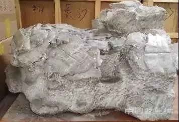 国家博物馆“证古泽今——甲骨文文化展”开幕