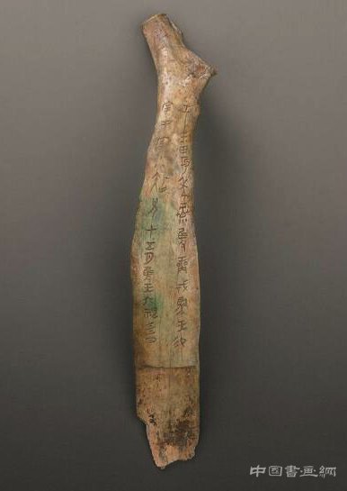 国家博物馆“证古泽今——甲骨文文化展”开幕