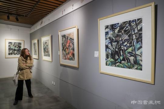 “山与海之间”2019年中国-法国油画邀请展在贵阳开展
