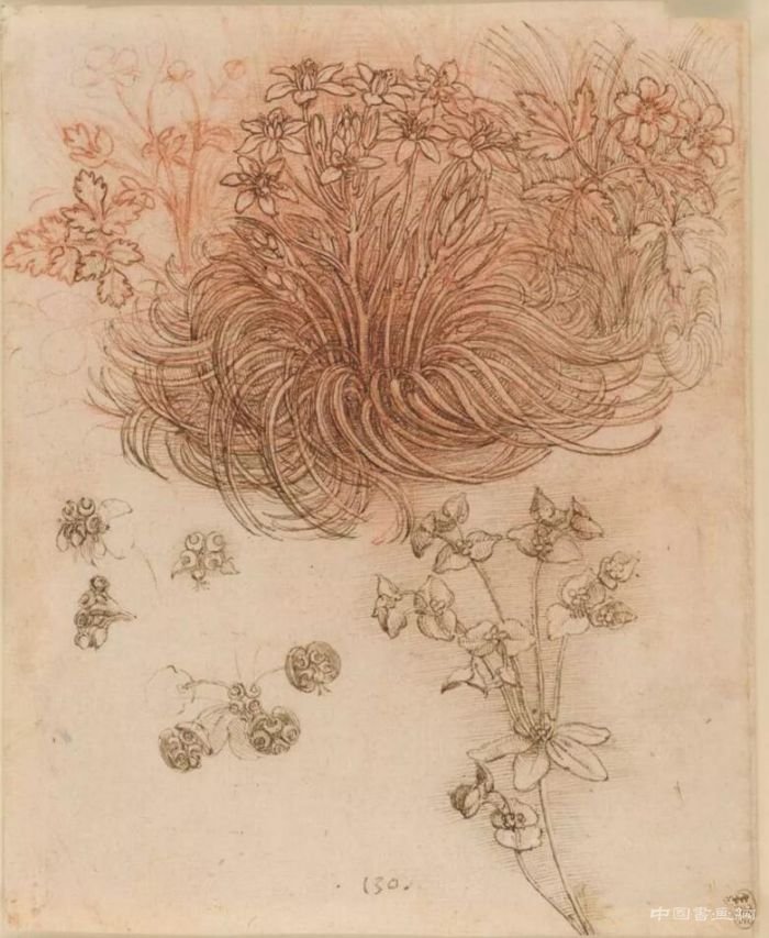 达芬奇给500年后的我们留下了什么?