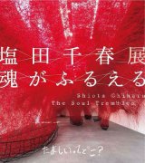 <b>在森美术馆读盐田千春：“灵魂的颤动”与装置的平面化</b>