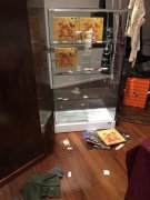 <b>意大利达芬奇纪念展失窃 窃贼恶意破坏</b>