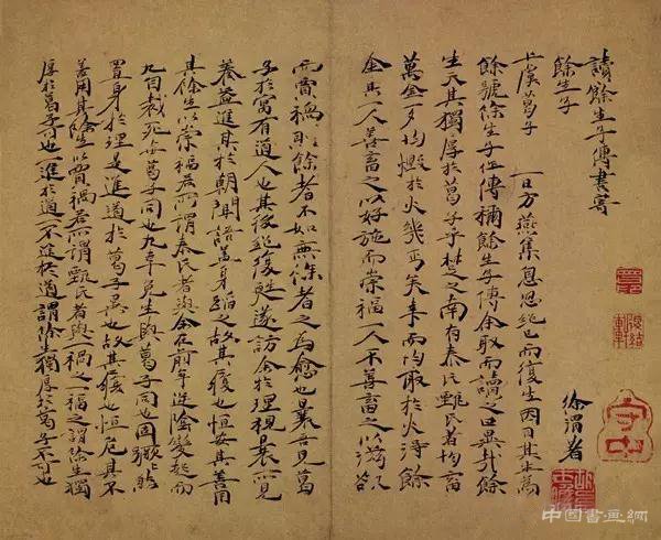 奇而不怪：徐渭的书法观念与技巧