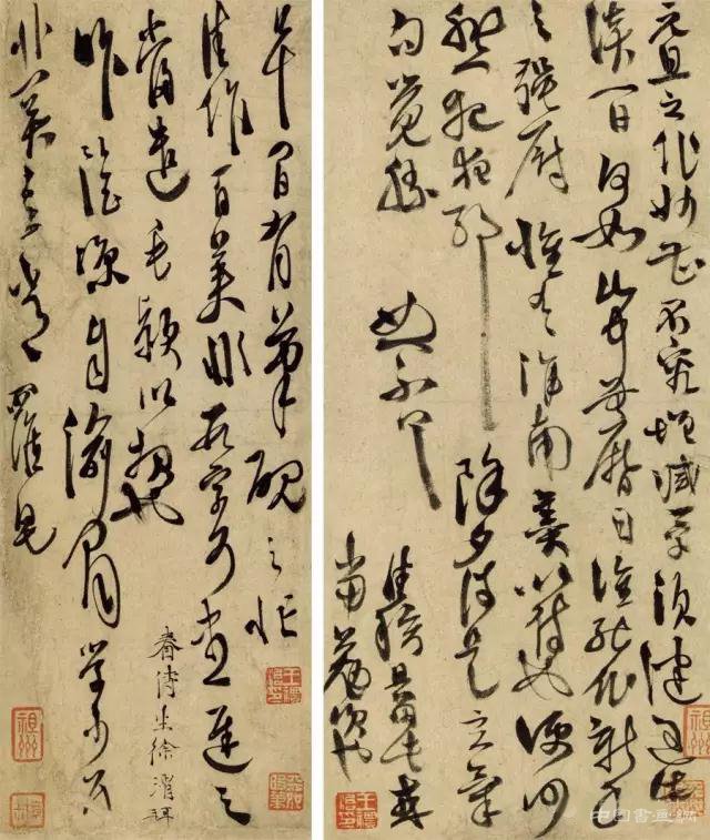 奇而不怪：徐渭的书法观念与技巧