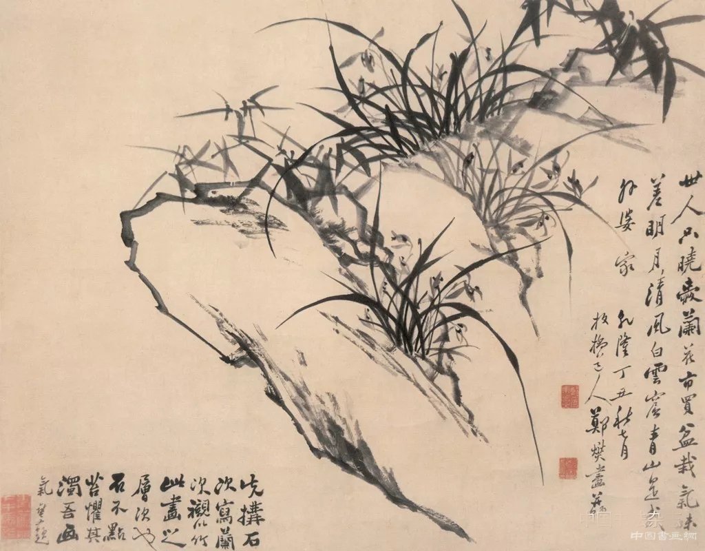 清  郑燮  兰石图  尺寸藏处不详