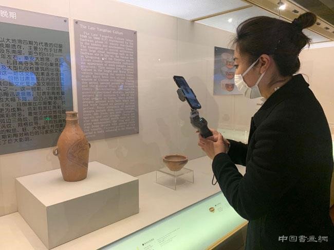 尝试文物数字化 多家博物馆直播“云春游”