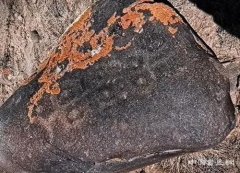 内蒙古西部发现172幅古代岩画