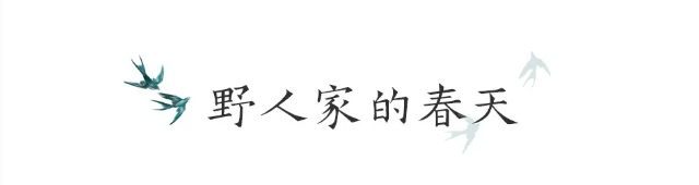 努力惜春华——丰子恺画中的春天