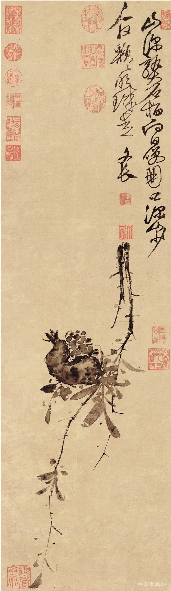 青藤白阳：大小写意画的宗师