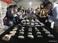 <b>宁波余姚发现8000余年前贝丘遗址 早于河姆渡文化千余年</b>