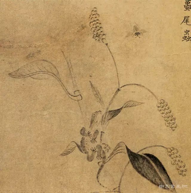 中国画里的“草虫”