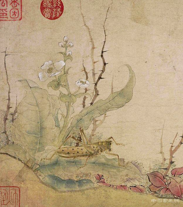 中国画里的“草虫”