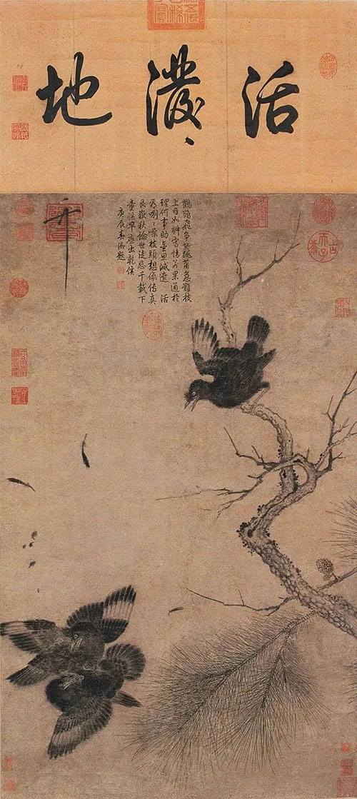 “百花呈瑞”南京博物院展览史上最强花鸟画阵容拉开帷幕